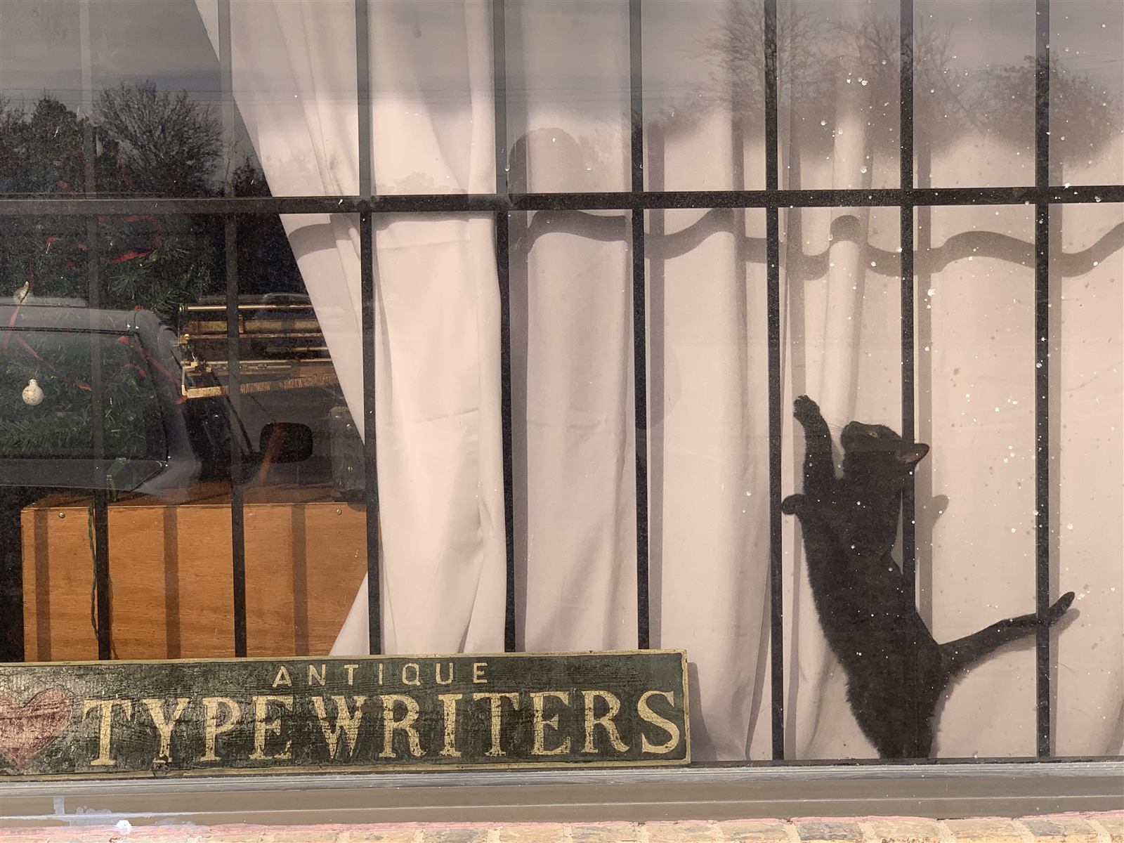 A black cat's silhouette stretched tall against the shop's front window, paws on the glass above an Antique Typewriters sign.