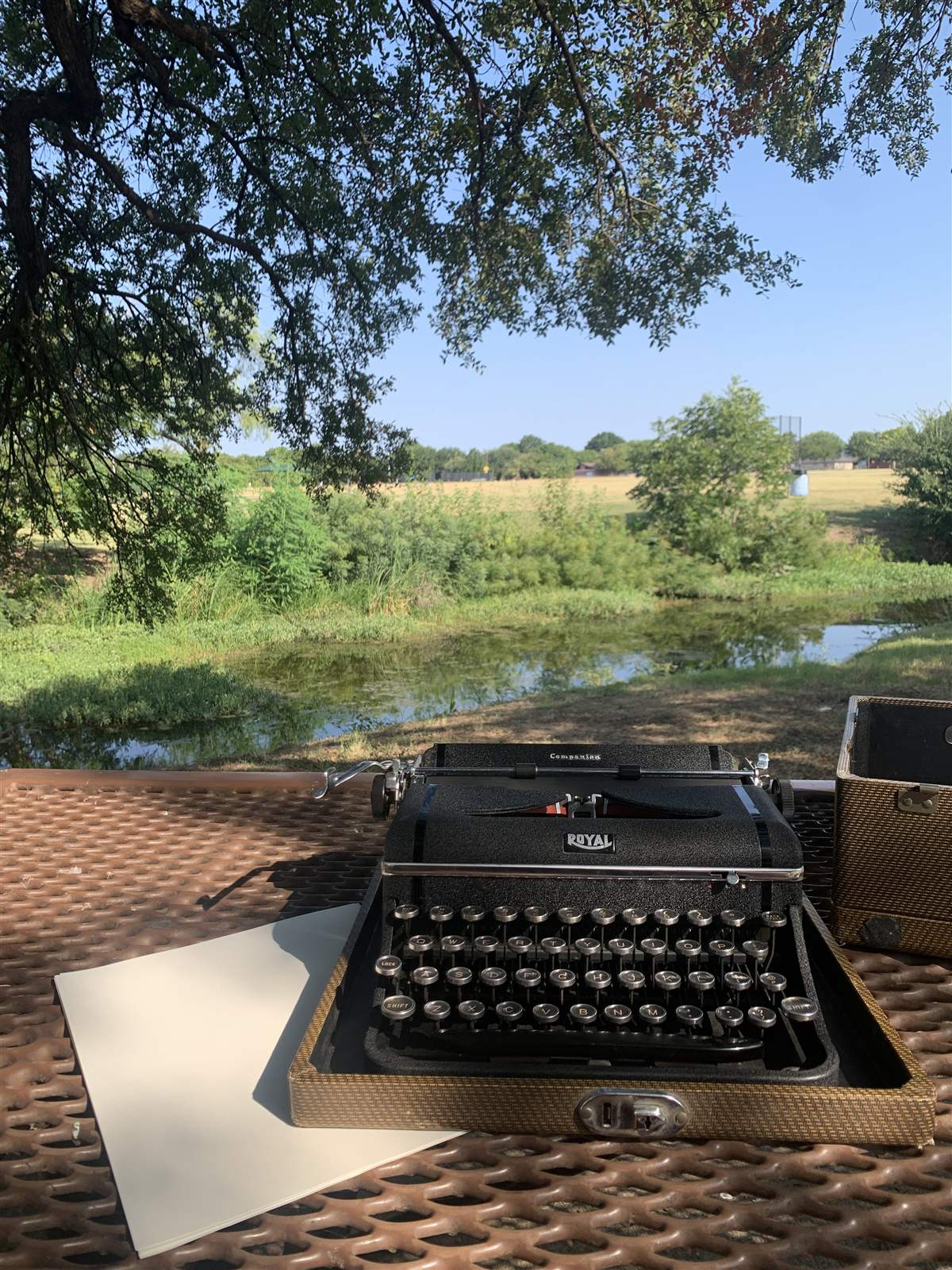 A black Royal Companion typewriter open in its tweed case on an outdoor picnic table beside a pond, tree branches overhead and an open field across the water.